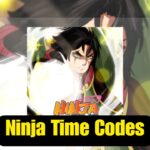 Ninja Time Codes